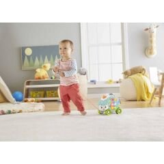 Fisher Price Linkimals Sevimli Gezgin Kirpi (Türkçe)