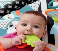 Fisher Price Neşeli Hayvanlar 3'ü 1 Arada Jimnastik Merkezi Oyun Halısı