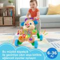 Fisher Price Eğitici Köpekçik Yürüteç Türkçe FTG10