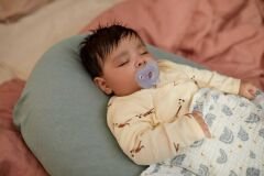 Philips Avent Soothie Ortodontik Saklama Kutulu 2li Emzik 0-6 Ay - Erkek